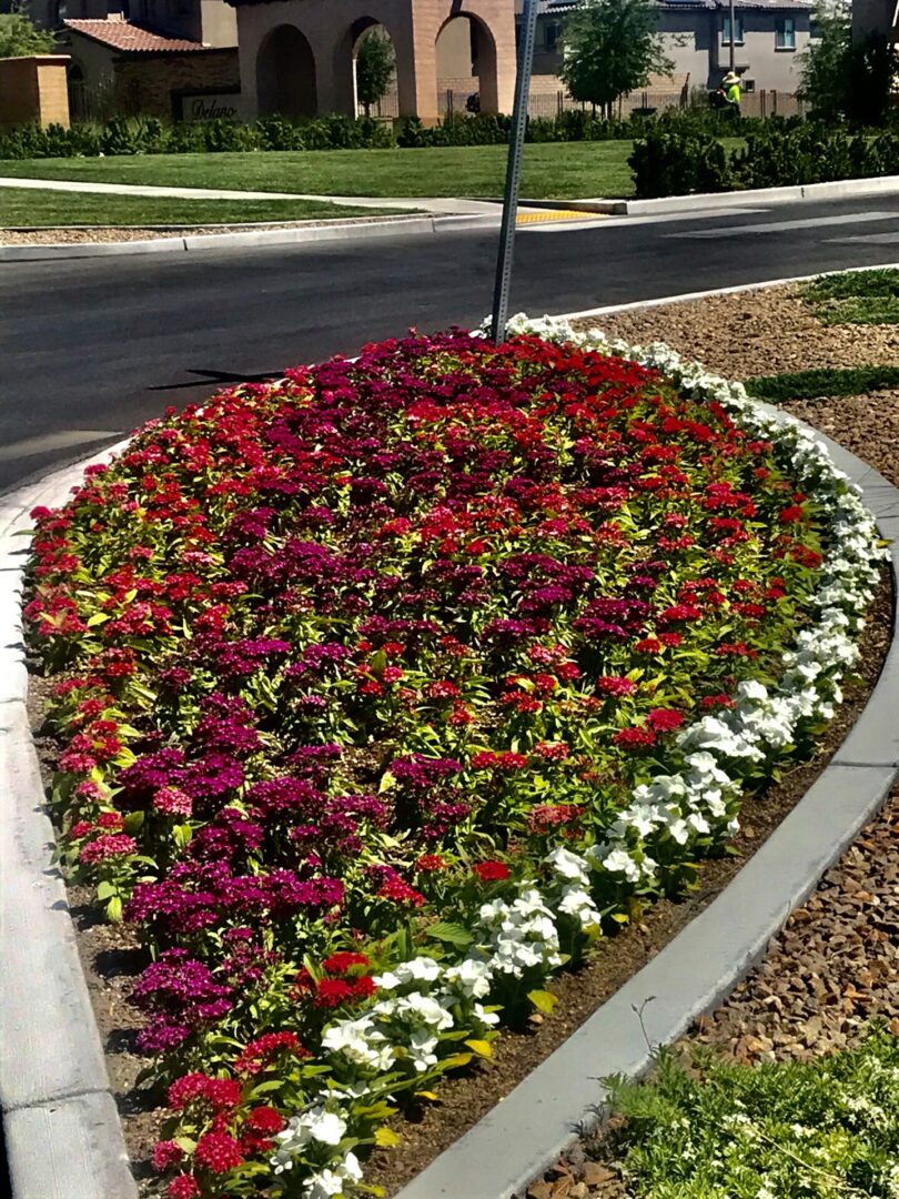 A flower bed with many different flowers on the side of the road.