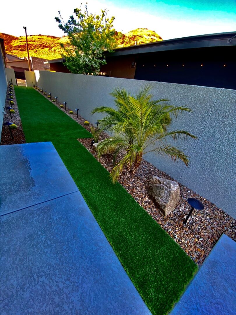 A backyard with palm trees and rocks in the yard.